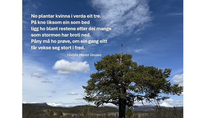 Junidikt