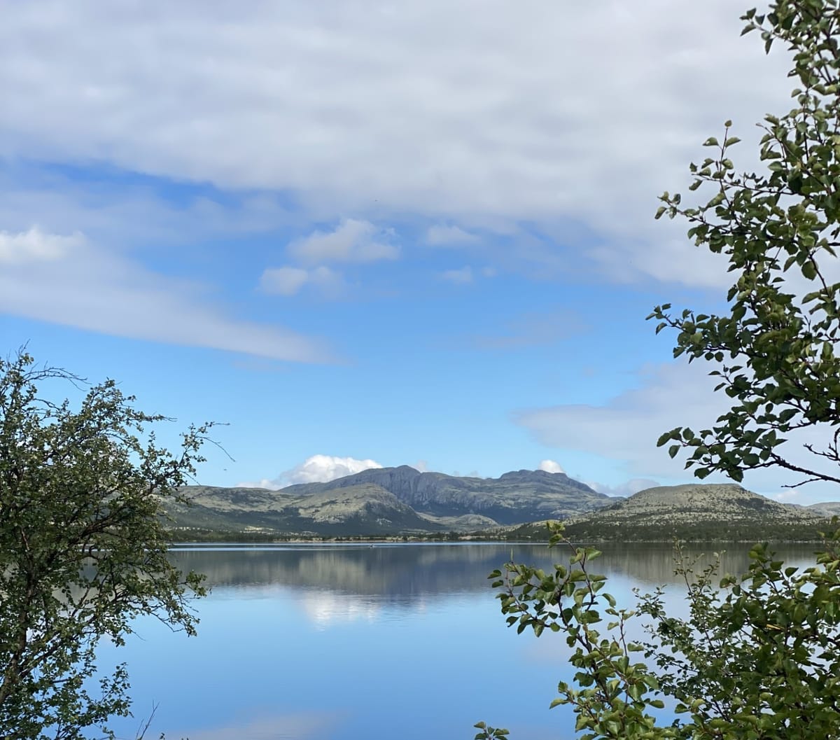 Sensommer i fjellet