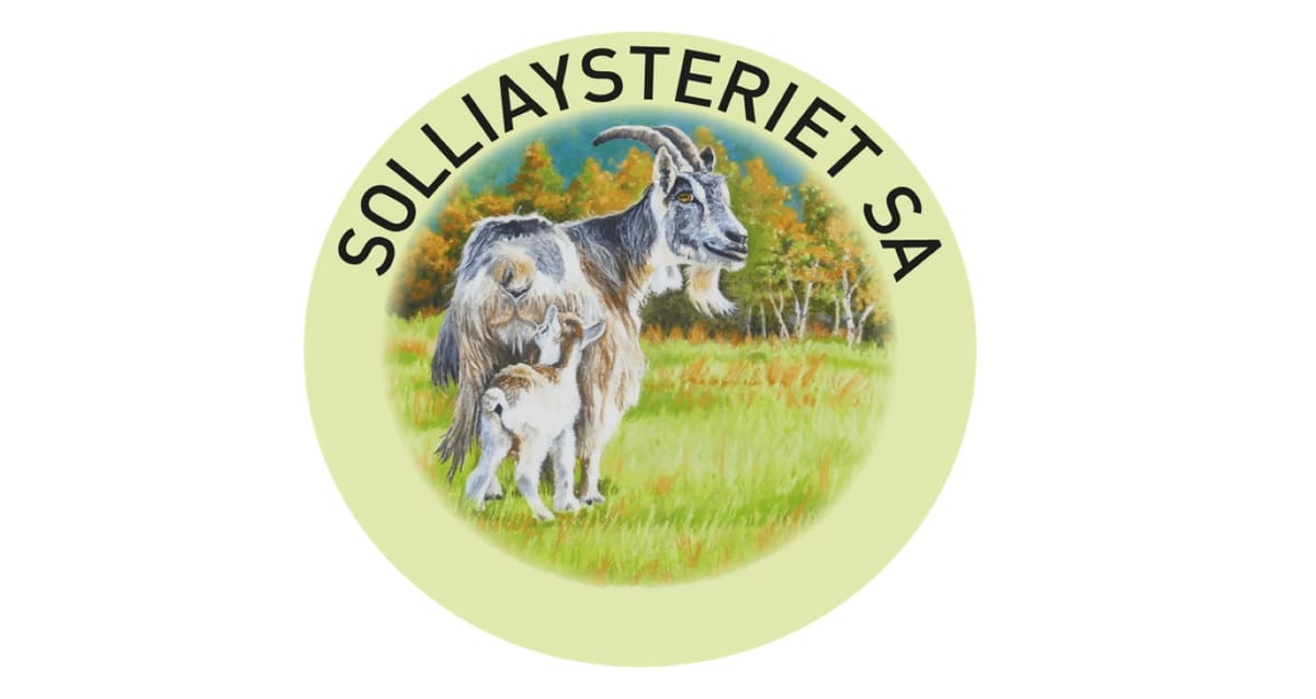 Solliaysteriet er konkurs