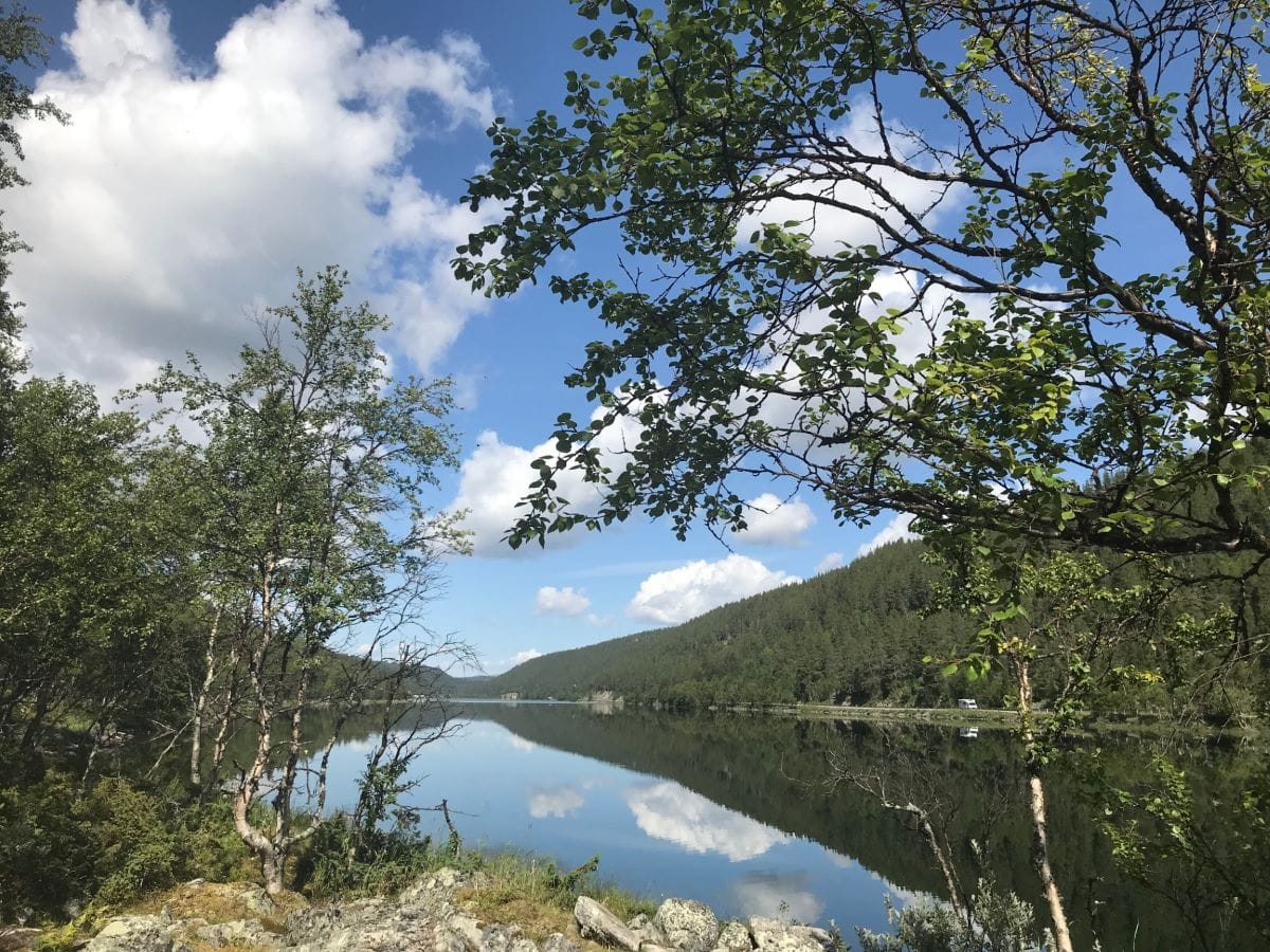 Skulle Setningssjøen senkes?