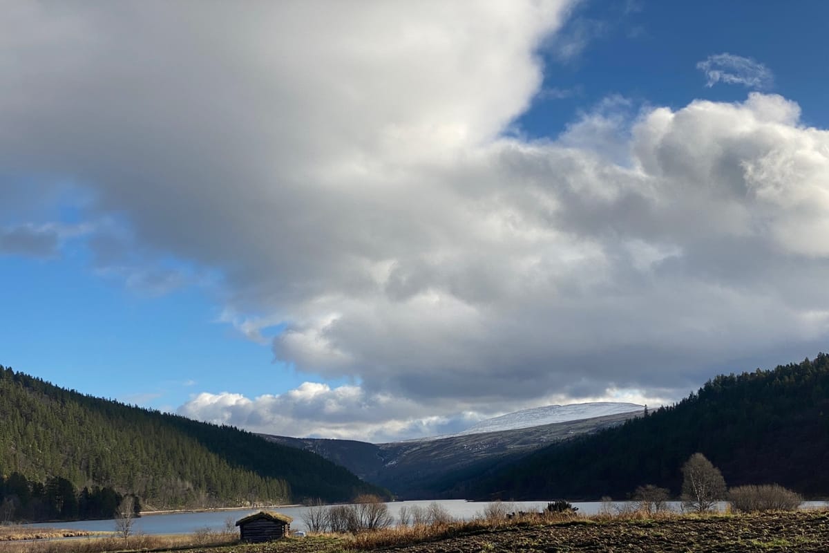 Skulle Setningssjøen senkes? (forts.)