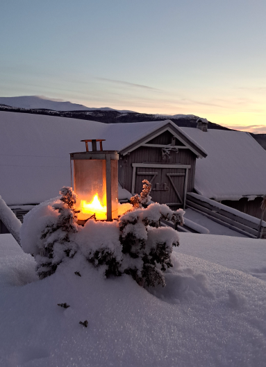 Julemarked på Dalholen lørdag 25. november