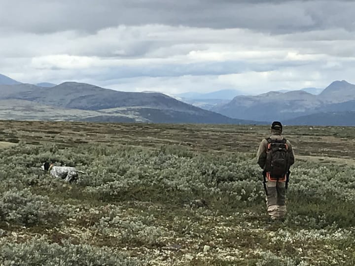 Rypetakseringa starter i dag