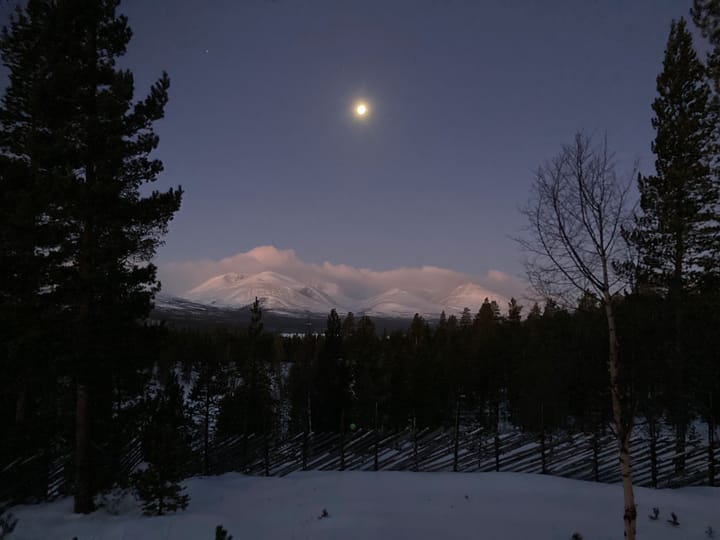 Magisk førjulsmorgen