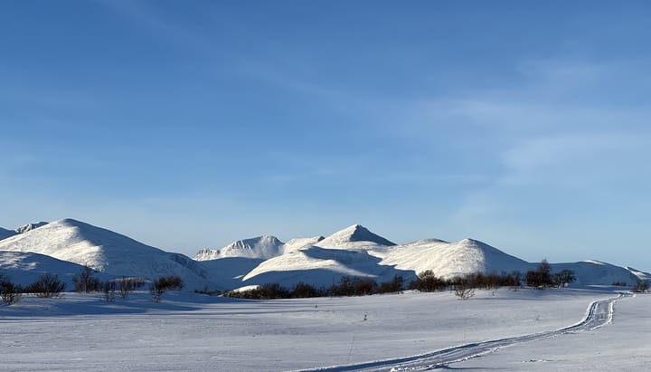 Volarunden er kjørt