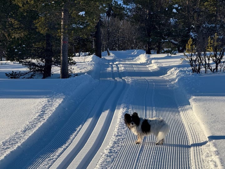 Løypemelding fredag 14. februar