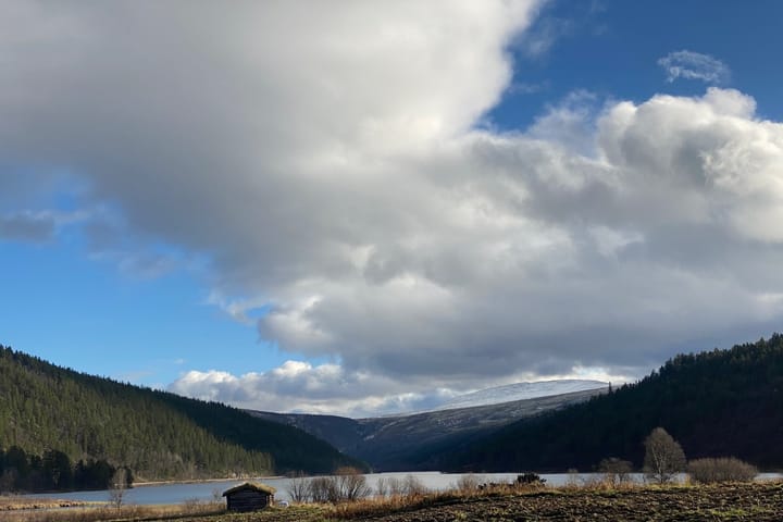 Skulle Setningssjøen senkes? (forts.)